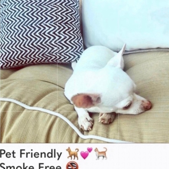 ⛵️ Sunset Sail 5/$15 high waist palm-tree bikini bottom only - Picture 4 of 5